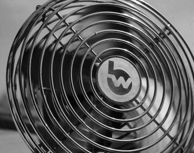 Black and White Fan