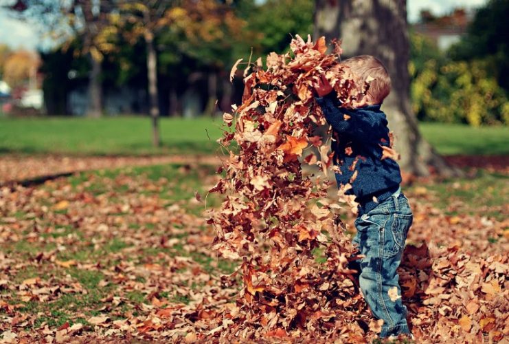 Boy Throwing Autumn Leaves Up