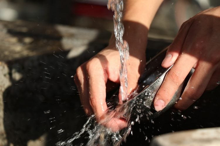 Woman Cleaning Under Tap