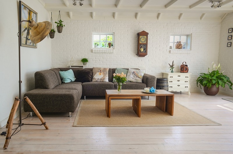 home-living-room-with-plants