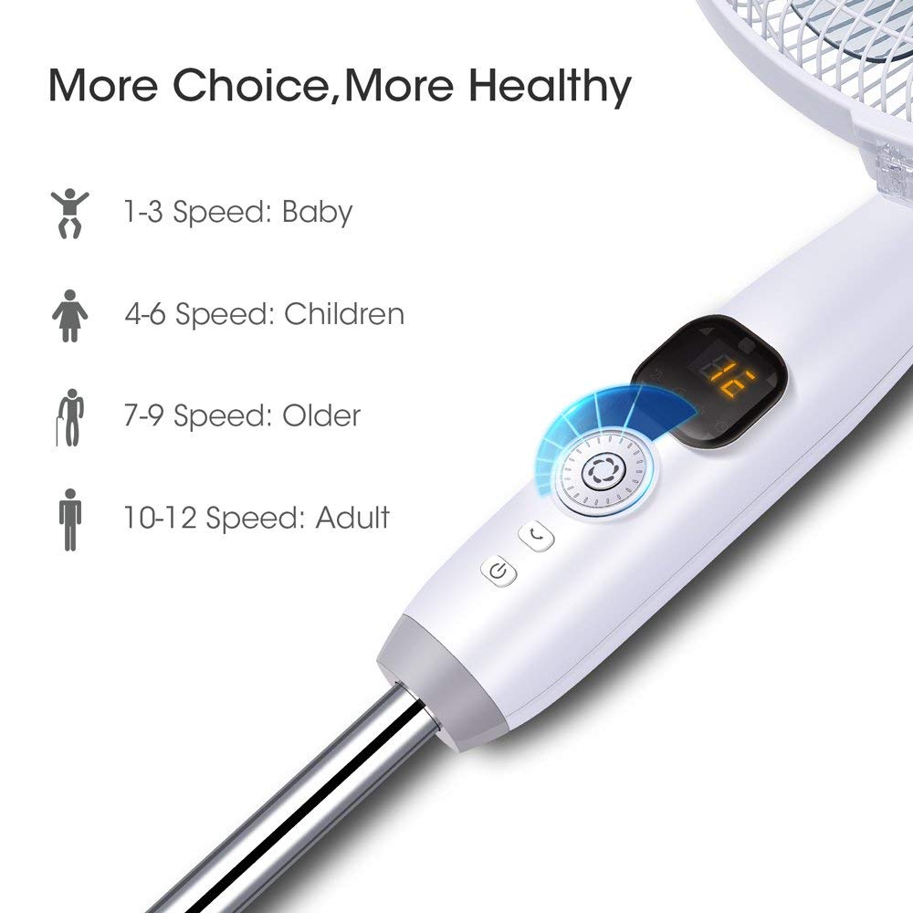 The 6 Quietest Pedestal Fans That Blow The Competition Away