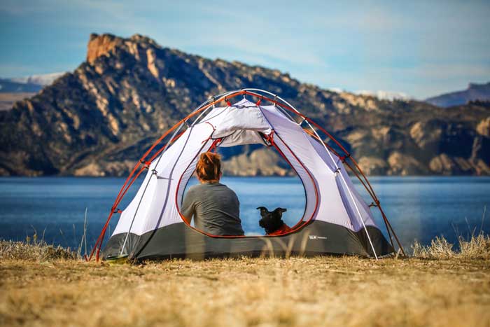 A woman and her dog camping