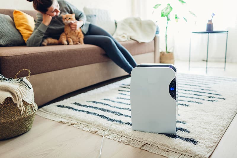 Dehumidifier in living room