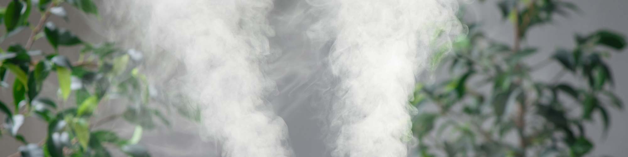 10 Easy Ways to Humidify A Room Without A Humidifier