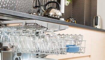 Dishwasher-Mold