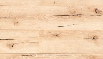 Guide to Bunkie Board vs Plywood - Wood Featured Image
