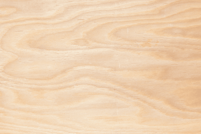 Plywood showing grain