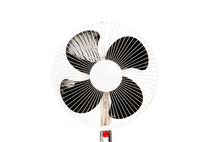 Electric fan