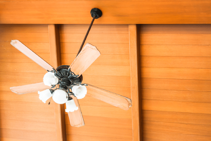 ceiling fan with lamp