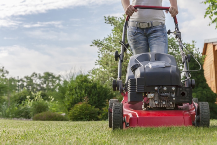 Self-propelled mowers