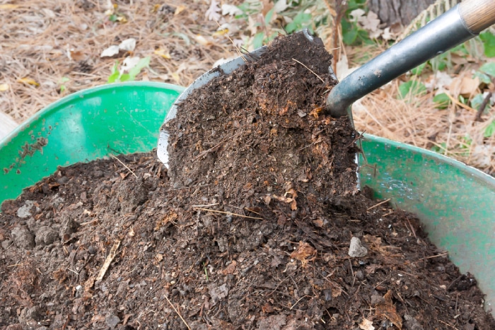 soil compost