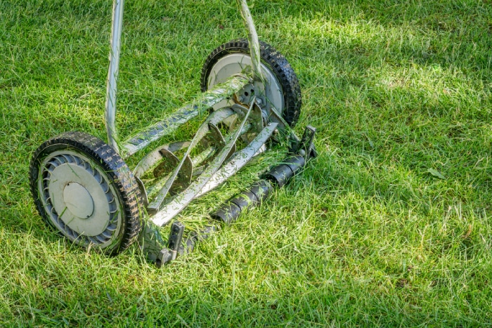 reel mower