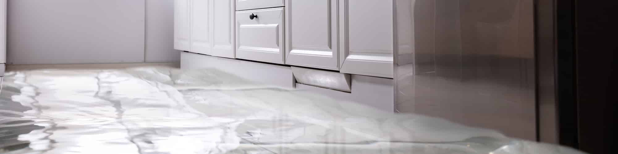 Is Your Dishwasher Leaking It S A Common Issue So Here Are 7 Fixes   Featured Leaking Dishwater Flooded Floor 