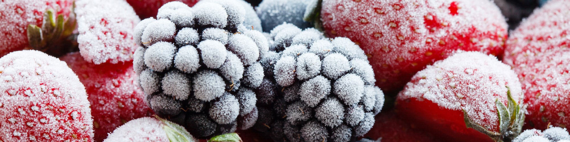 Fixing A Freezer That's Frozen Over 6 Steps To Clear It