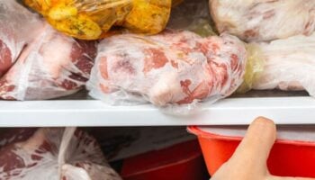 Why You Shouldn't Overload Your Freezer