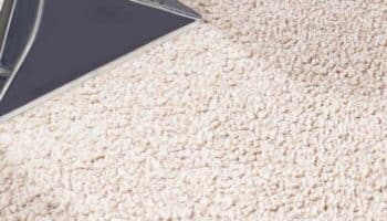 Why Your Carpet Is Wet in Places