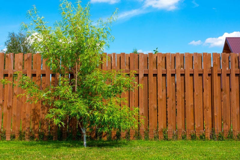 Vertical wood fence 