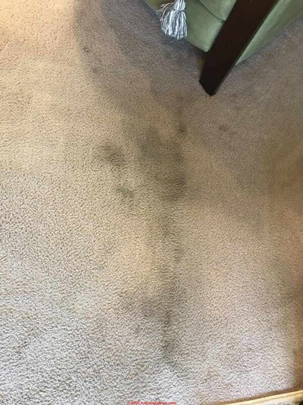 Carpet with some humidity stains