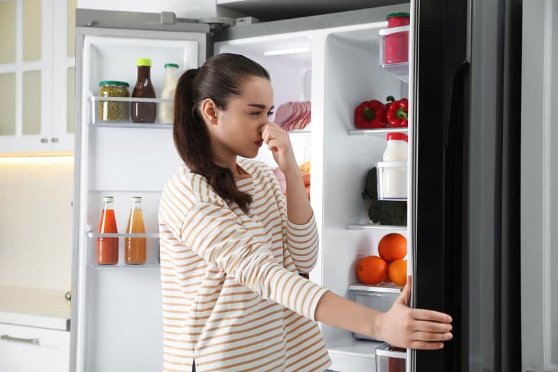 spoiled food in the freezer