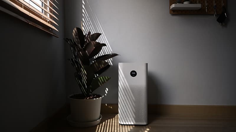 Air purifier near the window