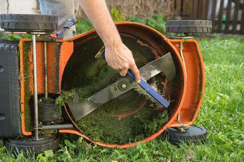 Hand Cleaning Mower