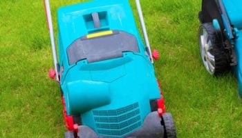 Cutting Wet Grass With Electric Lawn Mowers: 6 Tips
