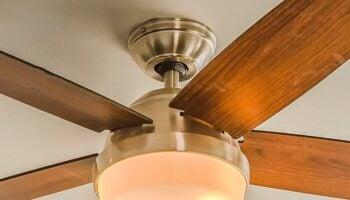 Ceiling fan with brown blades