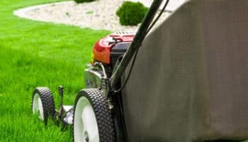 Is Your Lawn Mower Not Cutting Low Enough