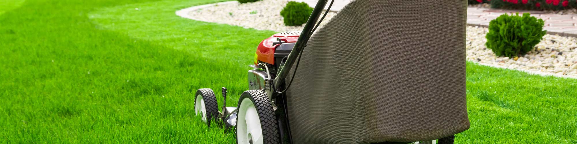 Low cutting lawn online mower