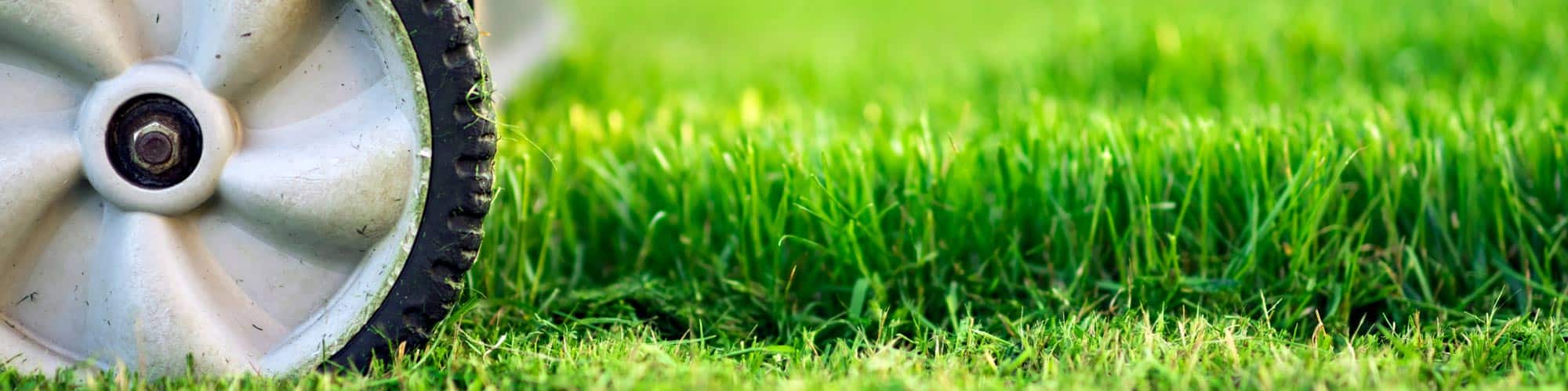 Lawn Mower Not Picking Up Grass? Try These 9 Easy Fixes