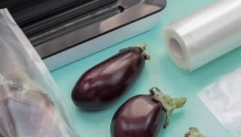 Vacuum Sealer Not Vacuuming Properly? 6 Fixes To Try