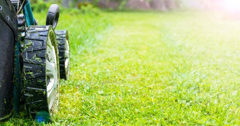 Mowing wet grass