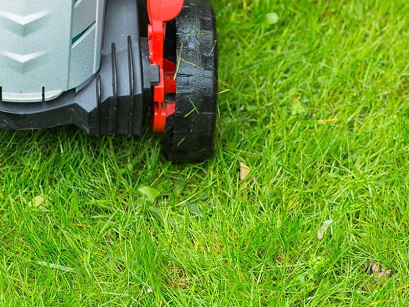 Mowing wet grass