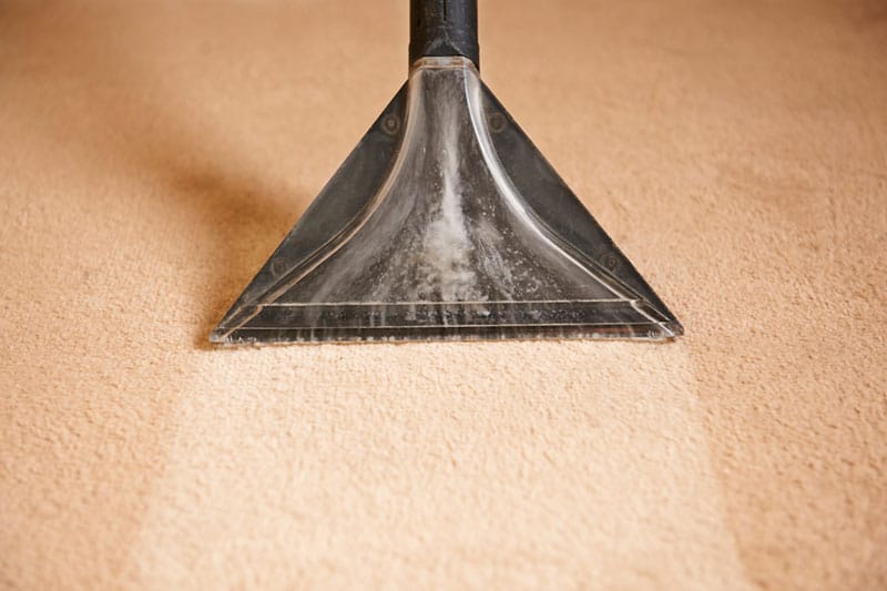 carpet cleaner with good suction