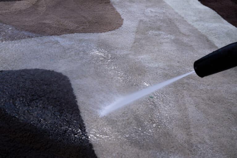 Fixing a Carpet Cleaner That's Stopped Spraying Water