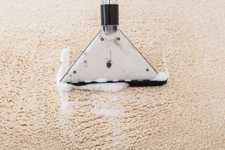 Carpet Cleaner Not Picking Up Water 7 Quick Fixes