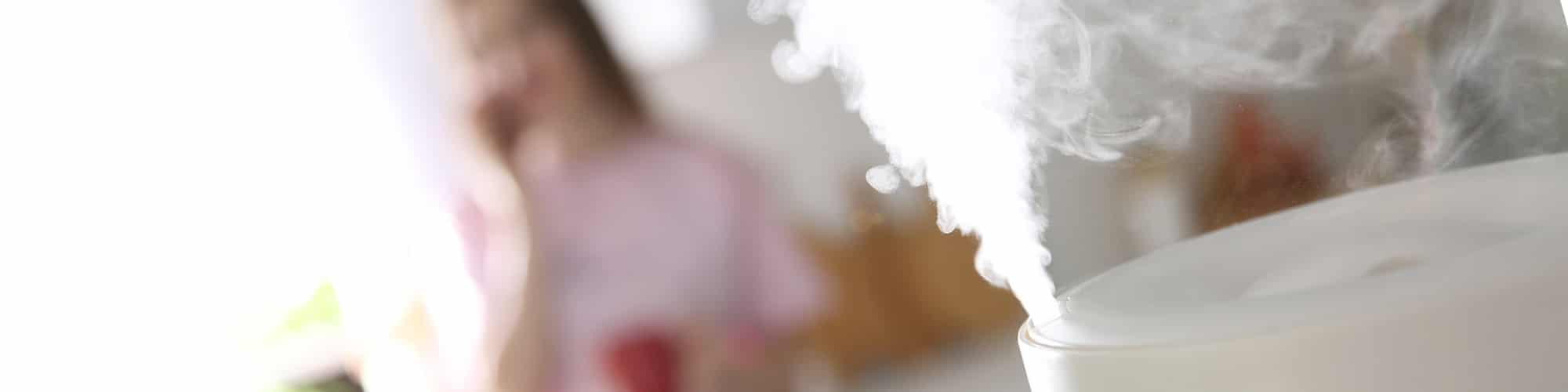 Humidifiers Cause Damp and Mold 5 Tips To Avoid It