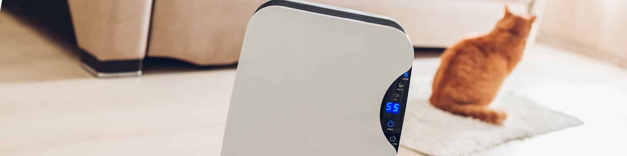 Noisy Dehumidifier? Here's How To Make It Quieter