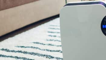 Why Your Dehumidifier Isn't Collecting Water