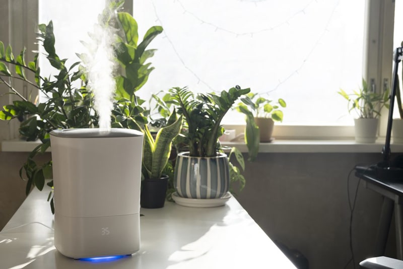 Withe Humidifier Throwing Steam Next To Some Plants