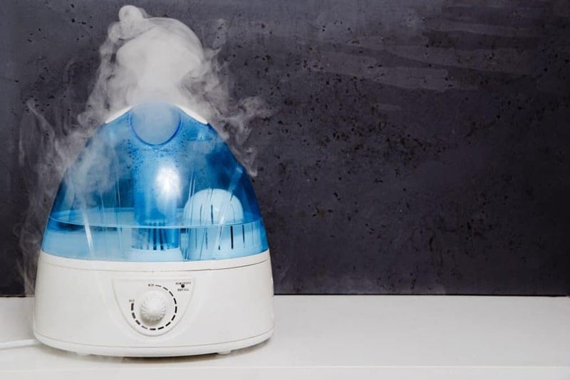 Humidifier Throwing Steam