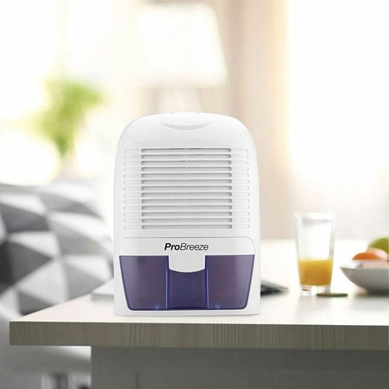 Mini Dehumidifier In Large Room