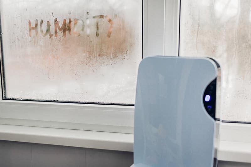 moisture in window besides a humidifier
