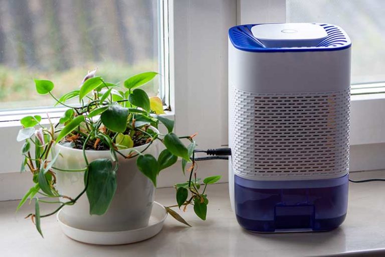 Dehumidifier Keeps Beeping? What It's Trying To Tell You