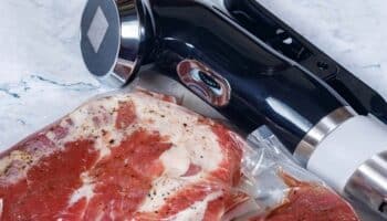 sous vide and meat on a kitchen counter
