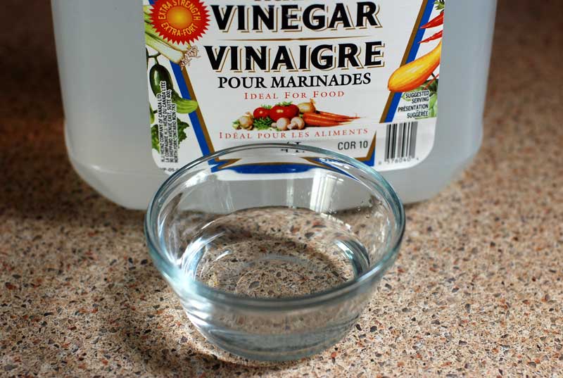 Use vinegar to get rid of the fish smell in your microwave 