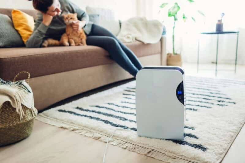 Use an air purifier to avoid dust