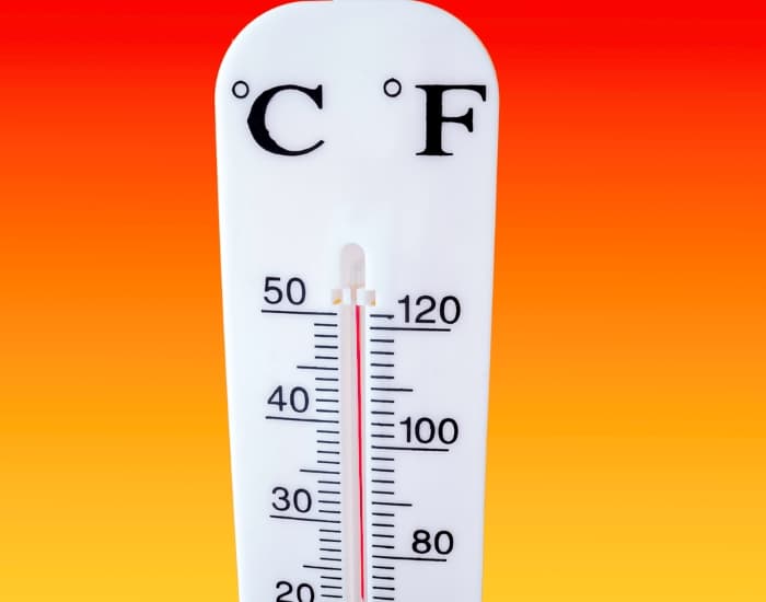 A thermometer showing the temperature