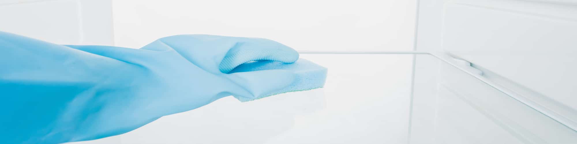 Cleaning A Moldy / Musty Fridge In 5 Easy Steps