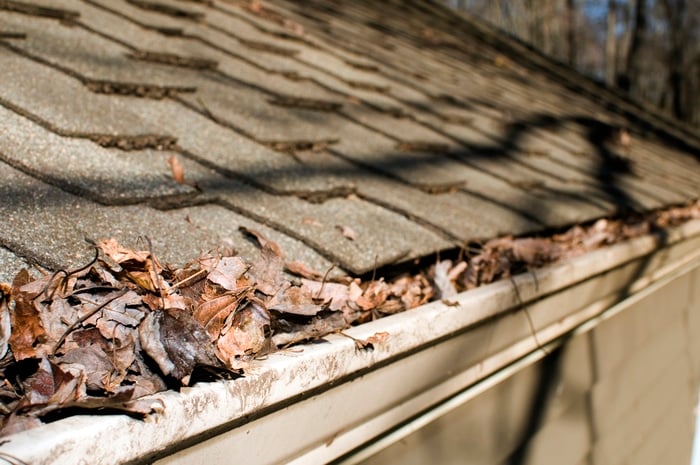 A house's gutters